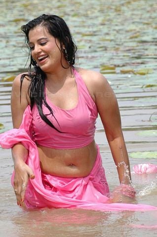 Telugu Actress Hot Navel Show Pics