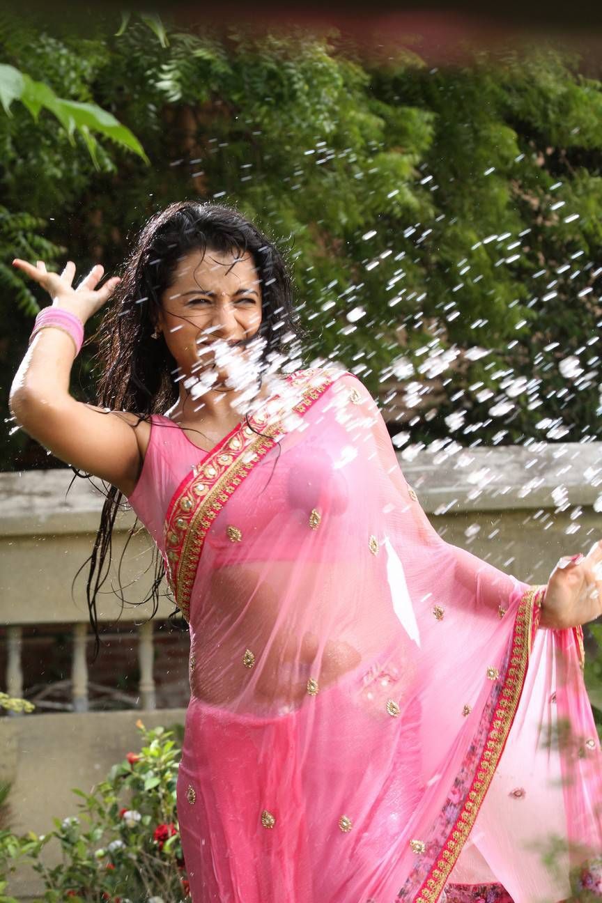 Actress Trisha Hot and Wet Photos