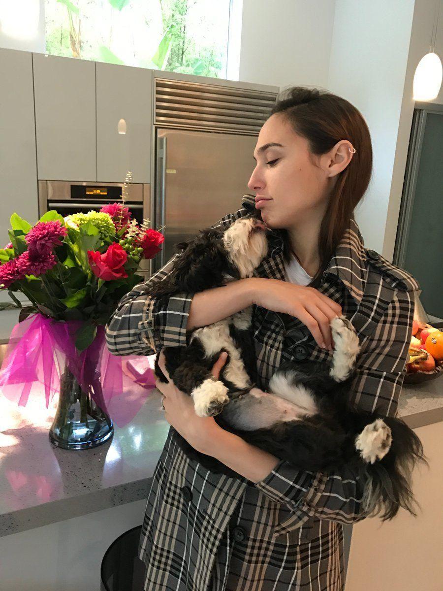 Wonder Woman Actress Gal Gadot Latest HOT Photo & Stills
