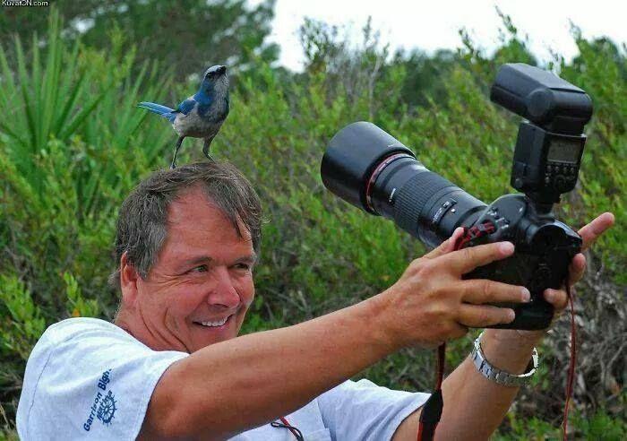 15+ Crazy Photographers Who Will Do ANYTHING For The Perfect Shot!