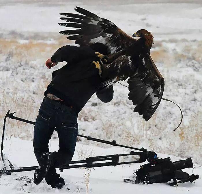 15+ Crazy Photographers Who Will Do ANYTHING For The Perfect Shot!