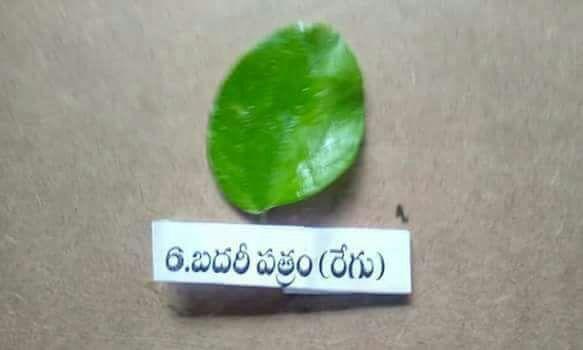 Types of Patri used in Ganesha Chaturthi