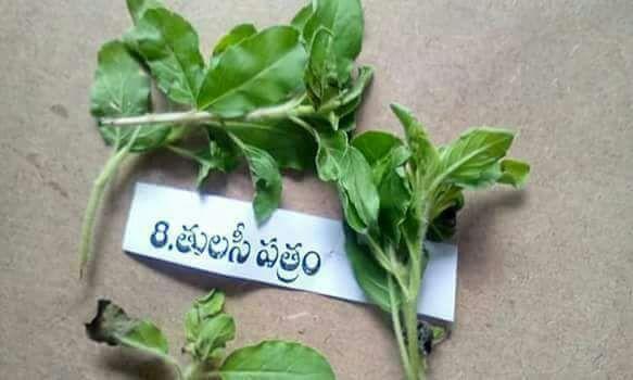 Types of Patri used in Ganesha Chaturthi