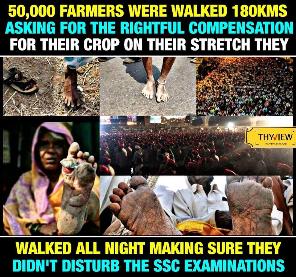 50000 Farmers Walked 180kms Asking for the Rightful Compensation for their crop