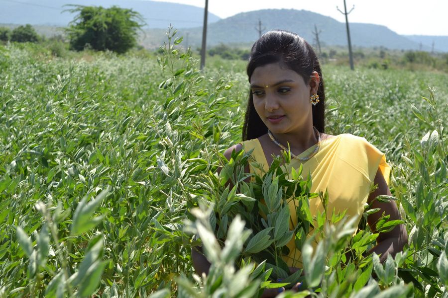 Accident Movie Stills