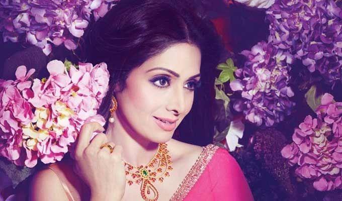 Actor Sridevi Rare & Unseen Photos Collections!