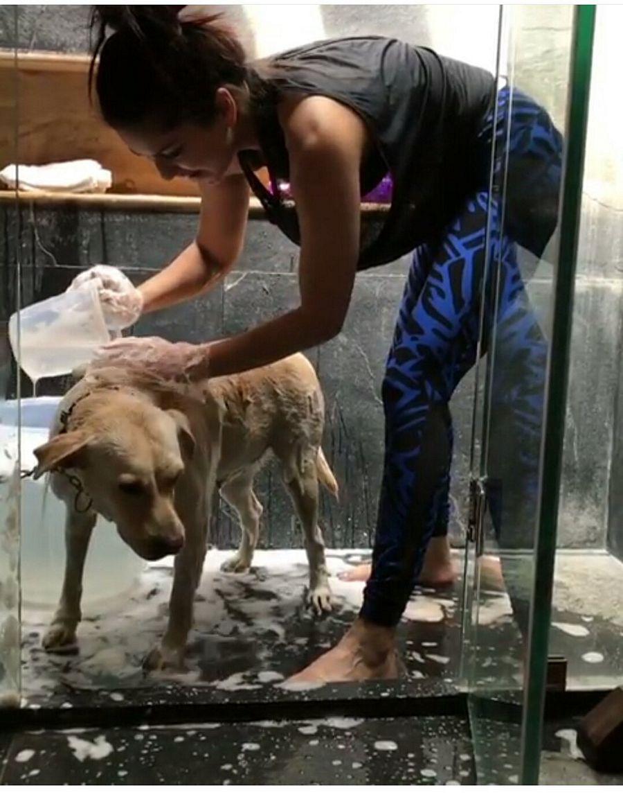 Actress Sunny Leone Latest Unseen Photo Stills