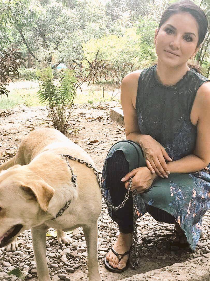 Actress Sunny Leone Latest Unseen Photo Stills