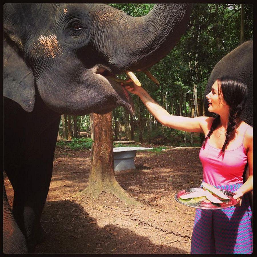 Amy Jackson Private Moments Photos Goes Viral On Internet