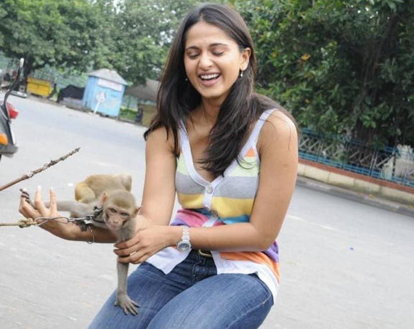 Anushka Shetty Rare and Unseen Collection 