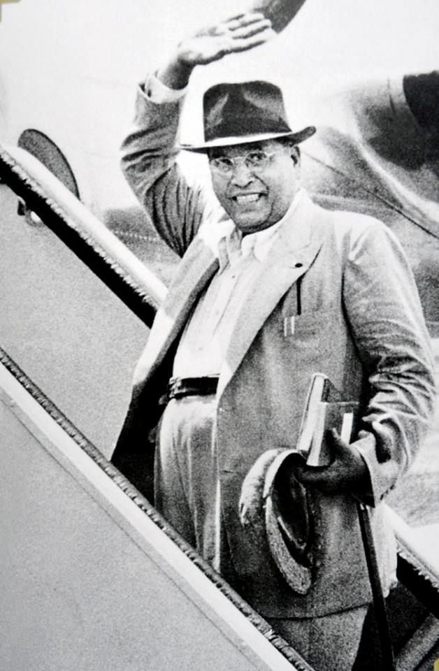 a sample image