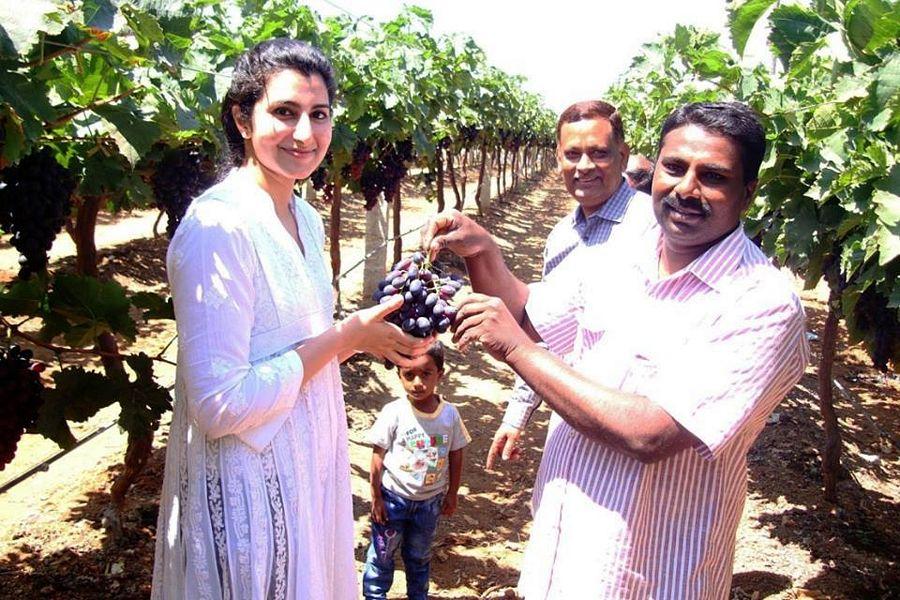 Balakrishna's Daughter Brahmini Never Seen Photos