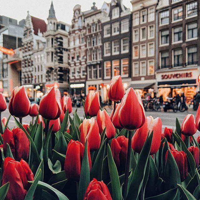 Beautiful scenery images