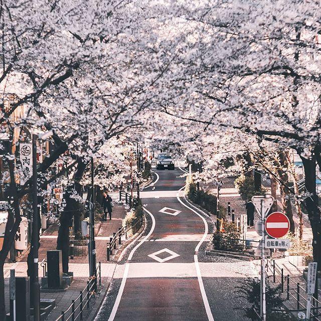 Beautiful scenery images