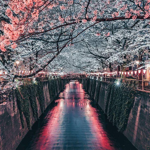 Beautiful scenery images