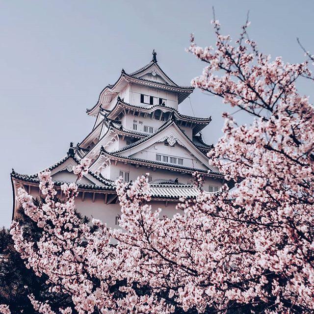 Beautiful scenery images
