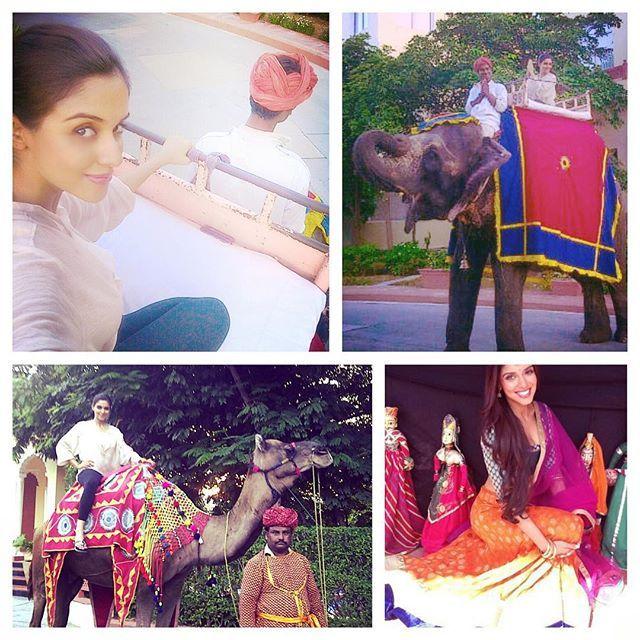 Birthday Special: Asin Thottumkal Rare & Unseen Photos