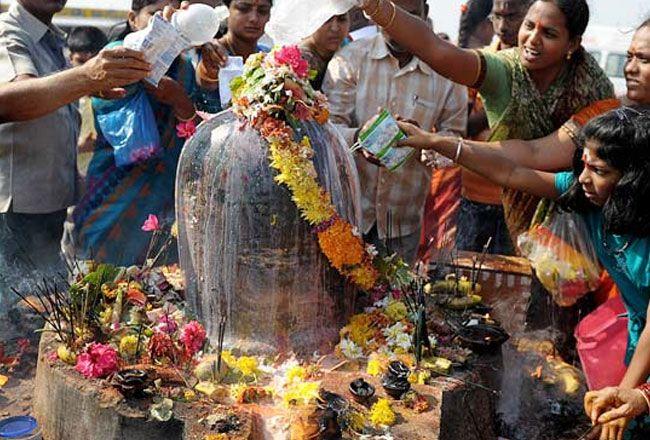 Celebration of Maha Shivaratri 2018 Photos