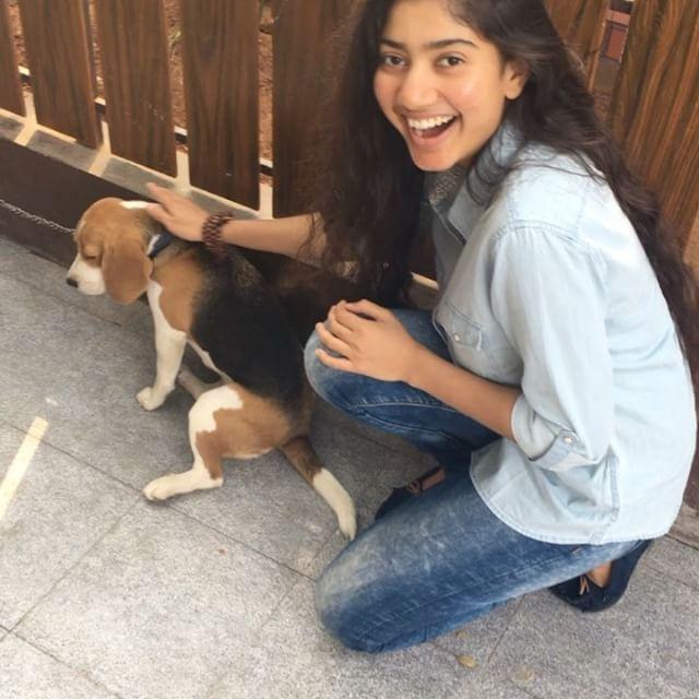 Cute Actress Sai Pallavi Never Seen Photos Collections!