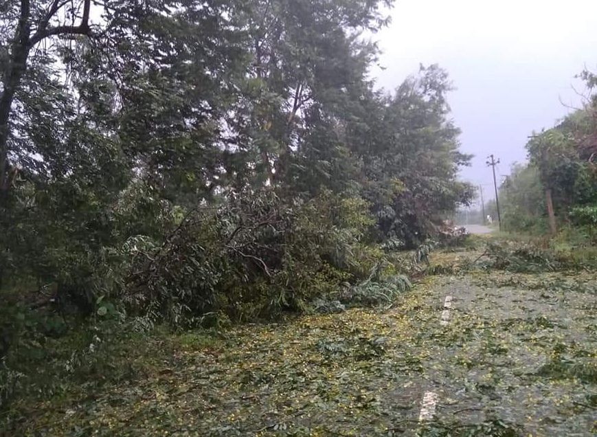 Cyclone Titli Effect on Andhrapradesh Photos