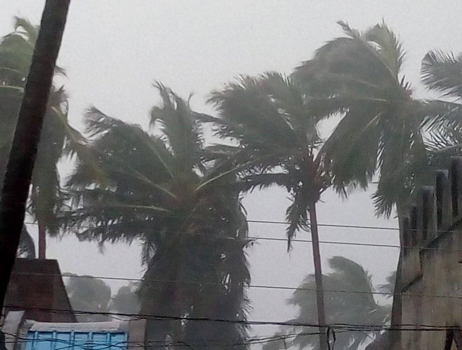 Cyclone Titli Effect on Andhrapradesh Photos
