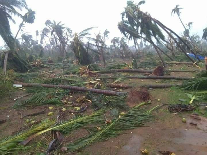 Cyclone Titli Effect on Andhrapradesh Photos