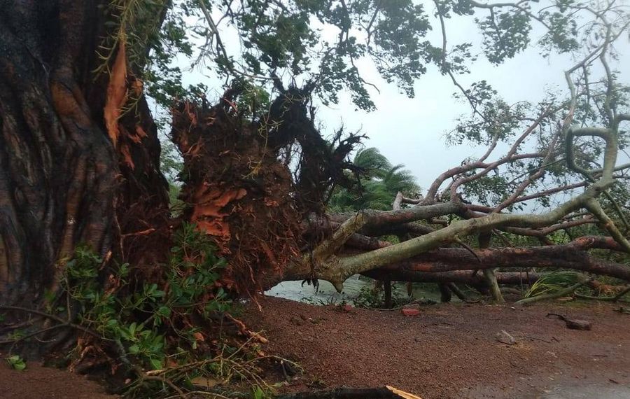 Cyclone Titli Effect on Andhrapradesh Photos