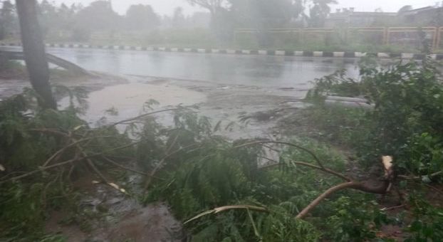 Cyclone Titli Effect on Andhrapradesh Photos