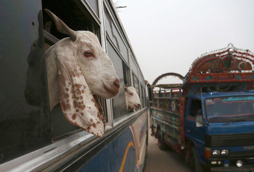 Eid al-Adha 2018: The world is ready for Eid!