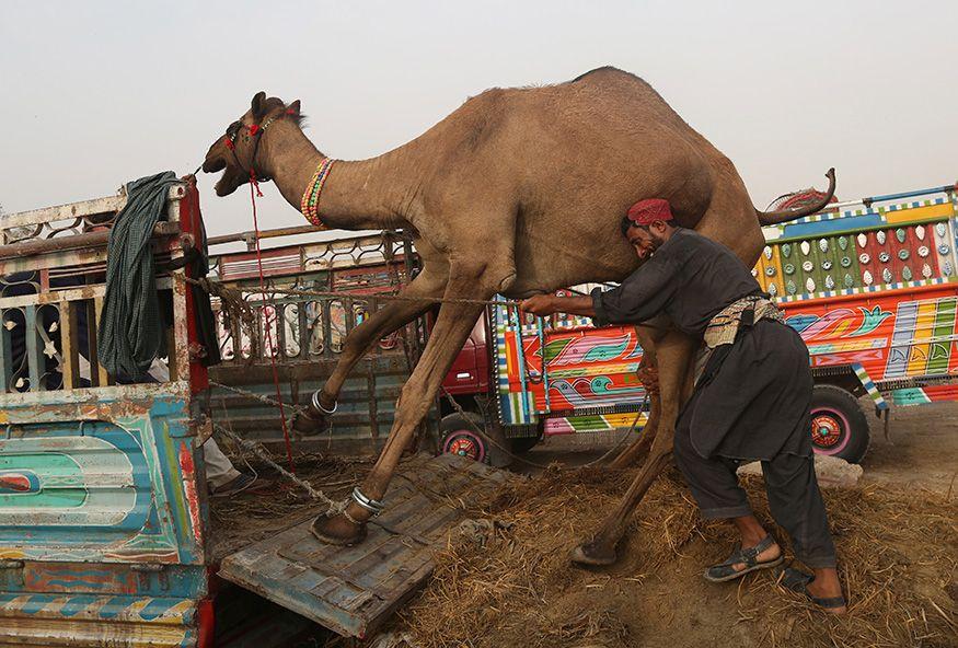 Eid al-Adha 2018: The world is ready for Eid!