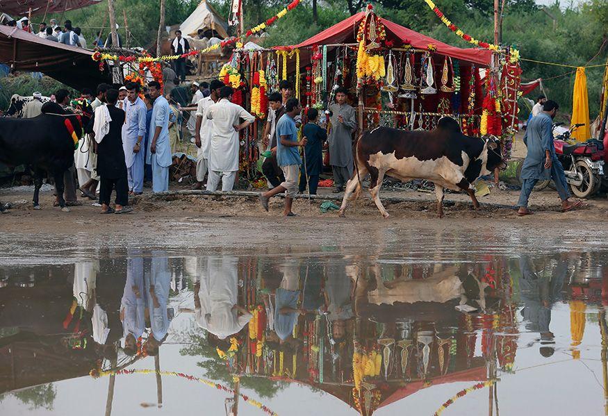 Eid al-Adha 2018: The world is ready for Eid!