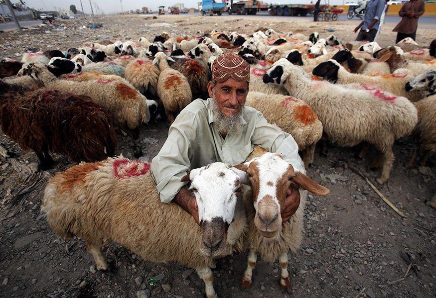 Eid al-Adha 2018: The world is ready for Eid!