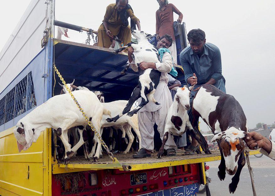 Eid al-Adha 2018: The world is ready for Eid!