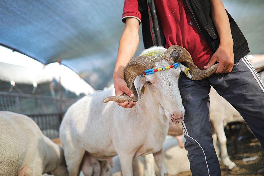 Eid al-Adha 2018: The world is ready for Eid!