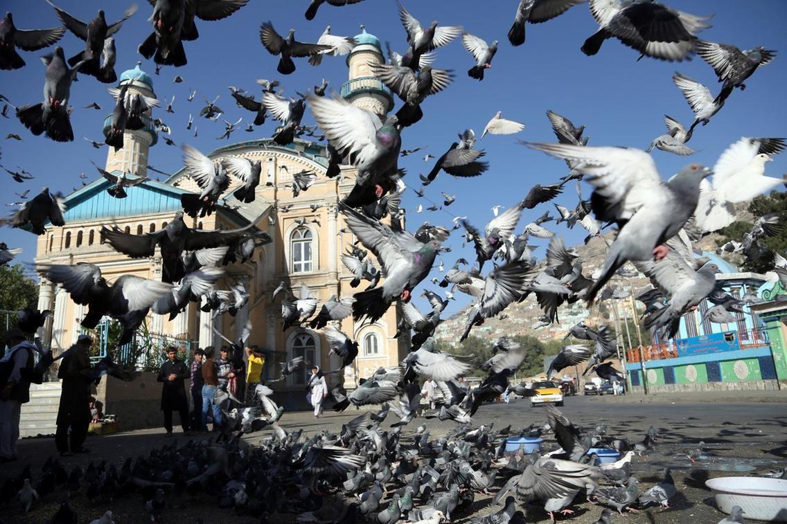 Eid prayers in Makkah and around the world