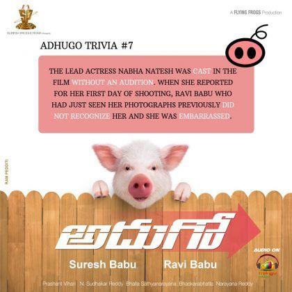 Few Facts of Adhugo Piglet Bunty