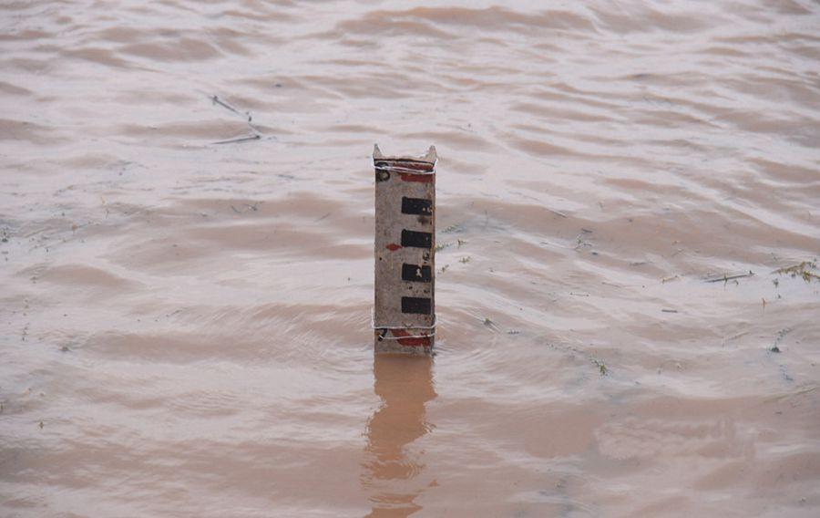 Godavari Floods Photos