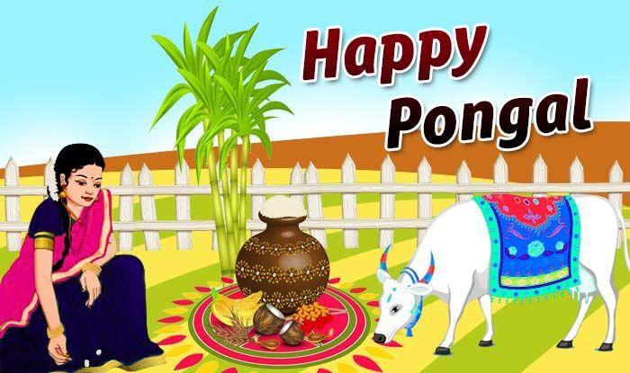 Happy Pongal Festival 2018 Wishes, Quotes, Images & Greetings