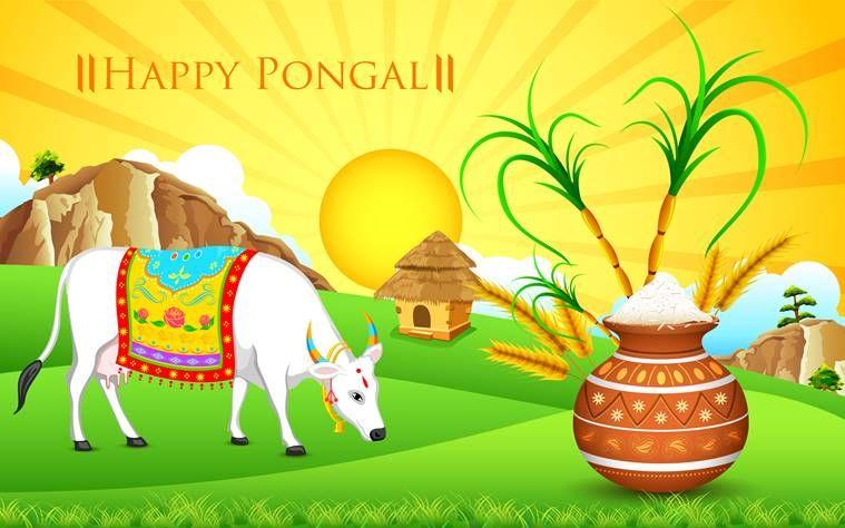 Happy Pongal Festival 2018 Wishes, Quotes, Images & Greetings