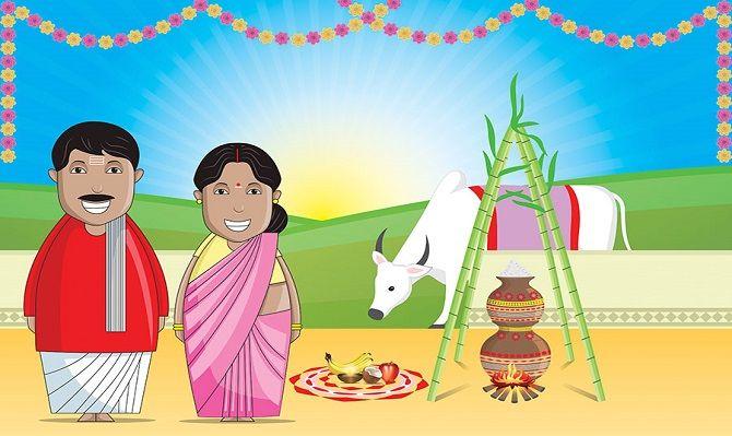 Happy Pongal Festival 2018 Wishes, Quotes, Images & Greetings