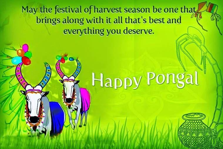 Happy Pongal Festival 2018 Wishes, Quotes, Images & Greetings