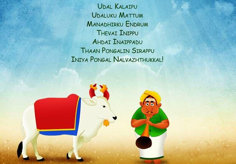 Happy Pongal Festival 2018 Wishes, Quotes, Images & Greetings