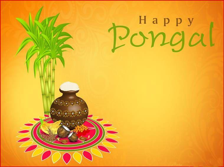 Happy Pongal Festival 2018 Wishes, Quotes, Images & Greetings