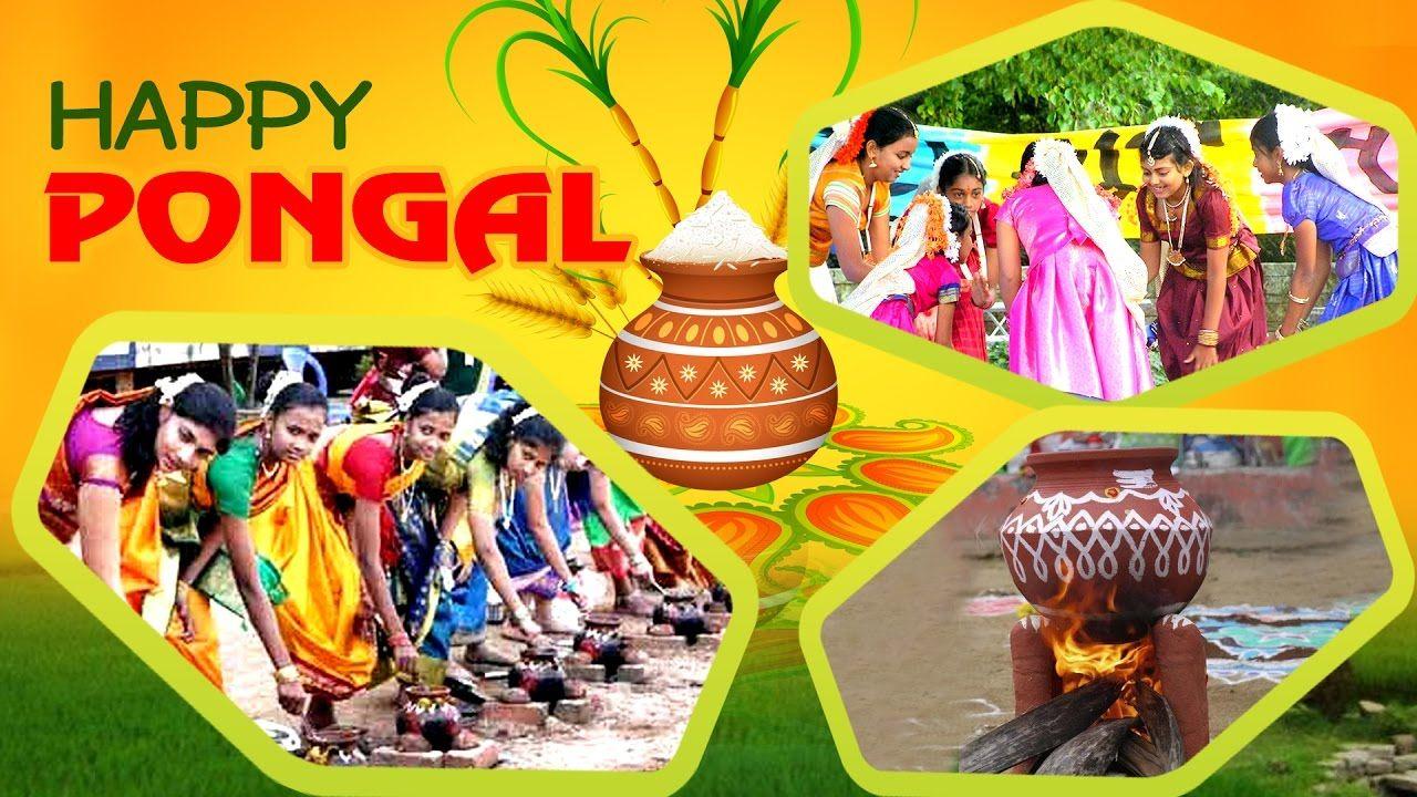 Happy Pongal Festival 2018 Wishes, Quotes, Images & Greetings