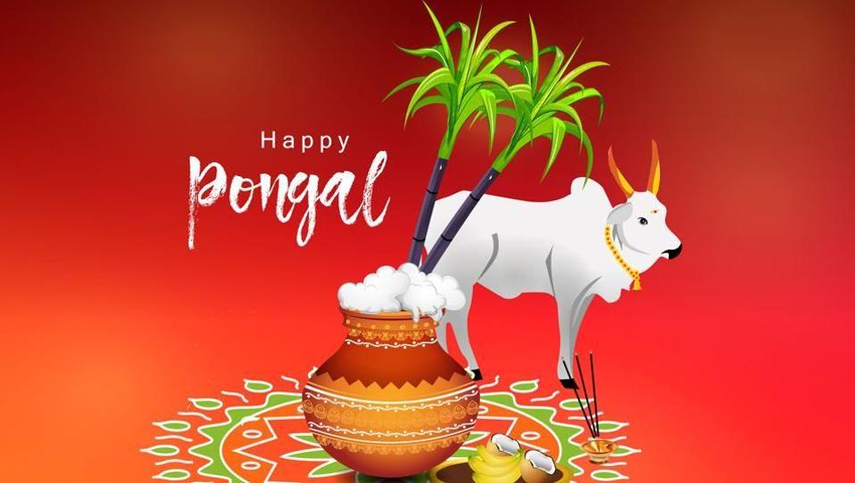 Happy Pongal Festival 2018 Wishes, Quotes, Images & Greetings