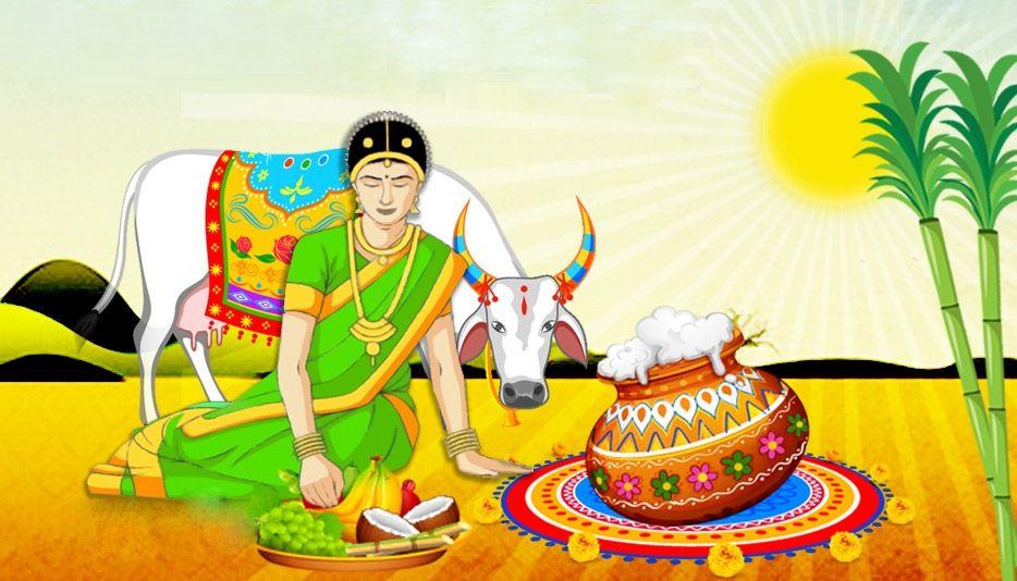 Happy Pongal Festival 2018 Wishes, Quotes, Images & Greetings