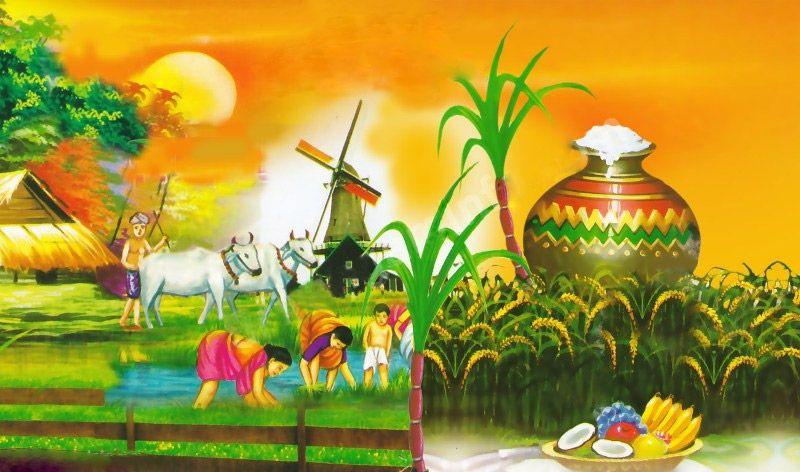 Happy Pongal Festival 2018 Wishes, Quotes, Images & Greetings