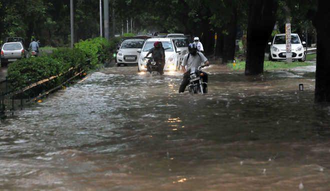 Heavy Rain Lash Chandigarh & Surrounding Areas Photos