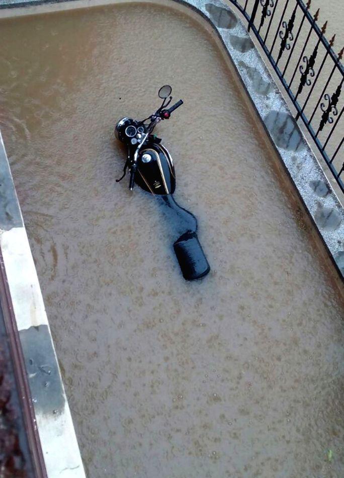 Heavy Rain Lash Chandigarh & Surrounding Areas Photos