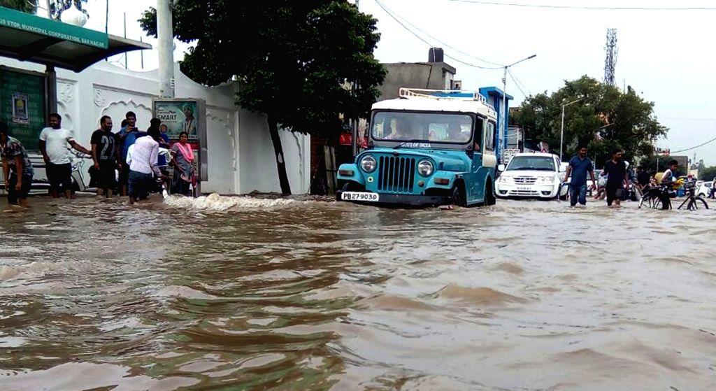 Heavy Rain Lash Chandigarh & Surrounding Areas Photos